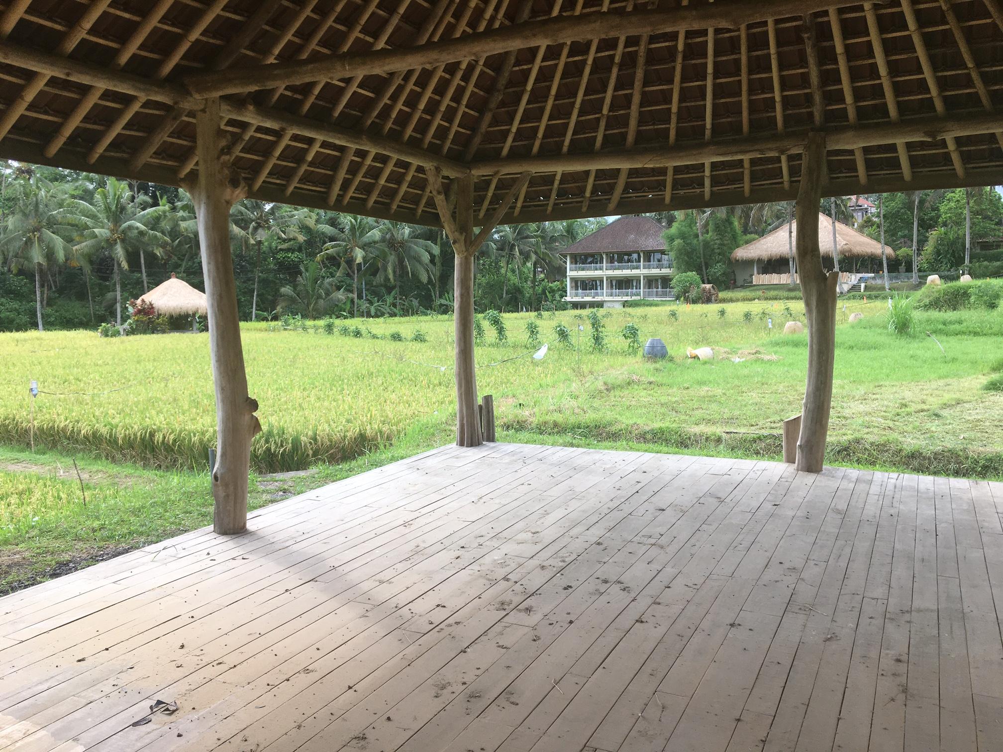 Mathis Retreat 4* Ubud