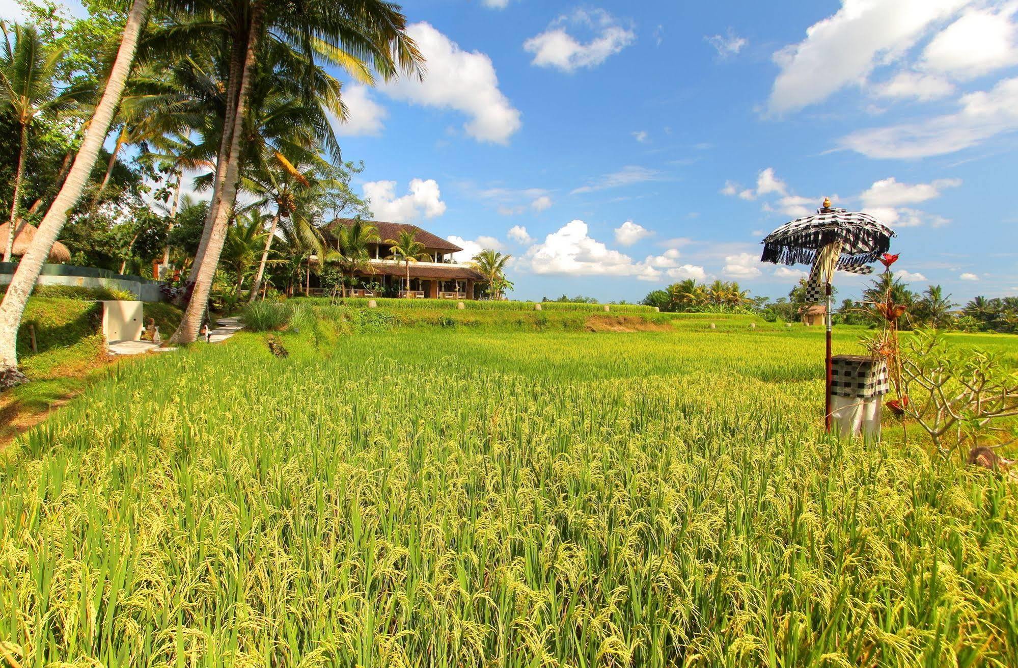 Hotel Mathis Retreat Ubud