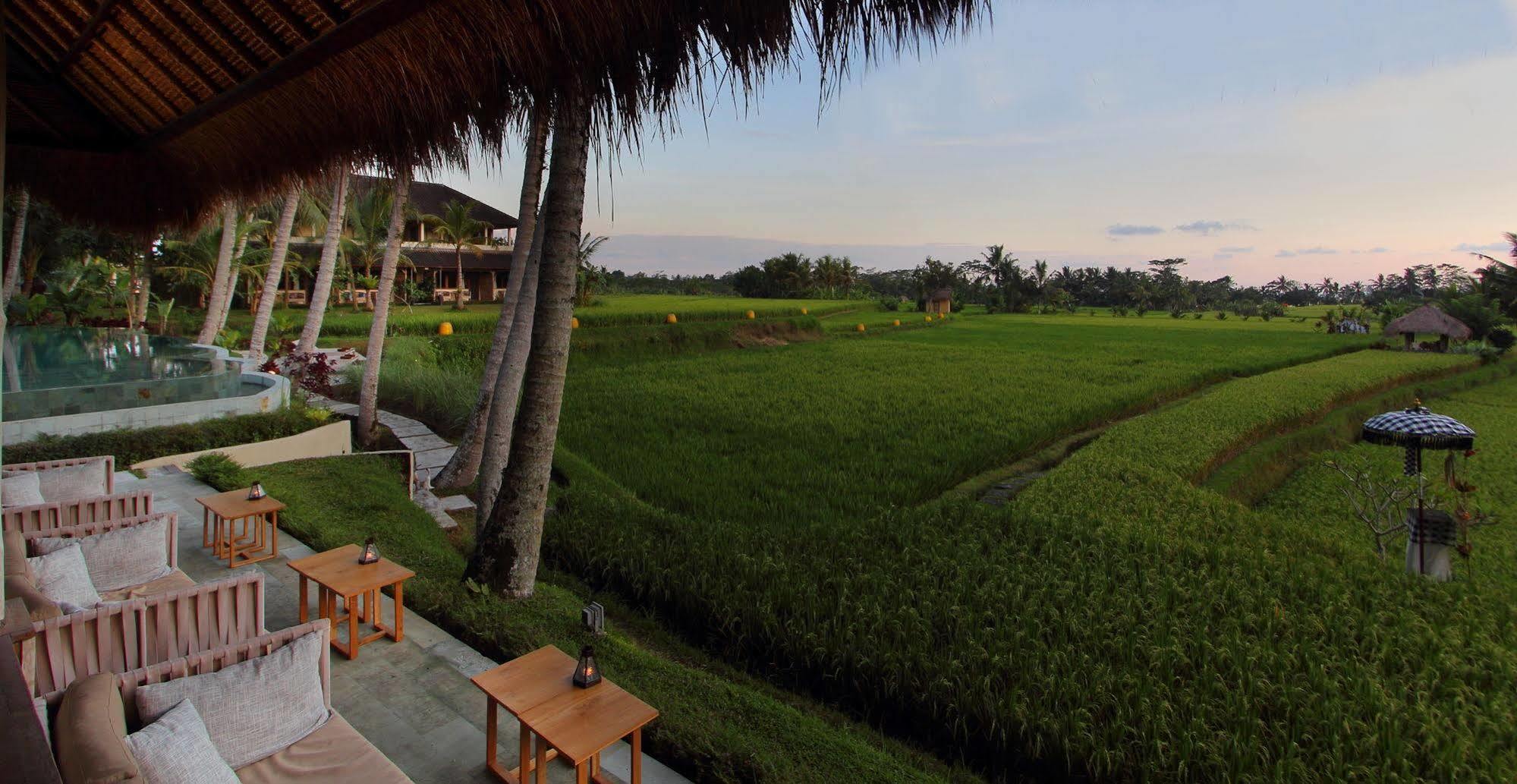 Hotel Mathis Retreat Ubud