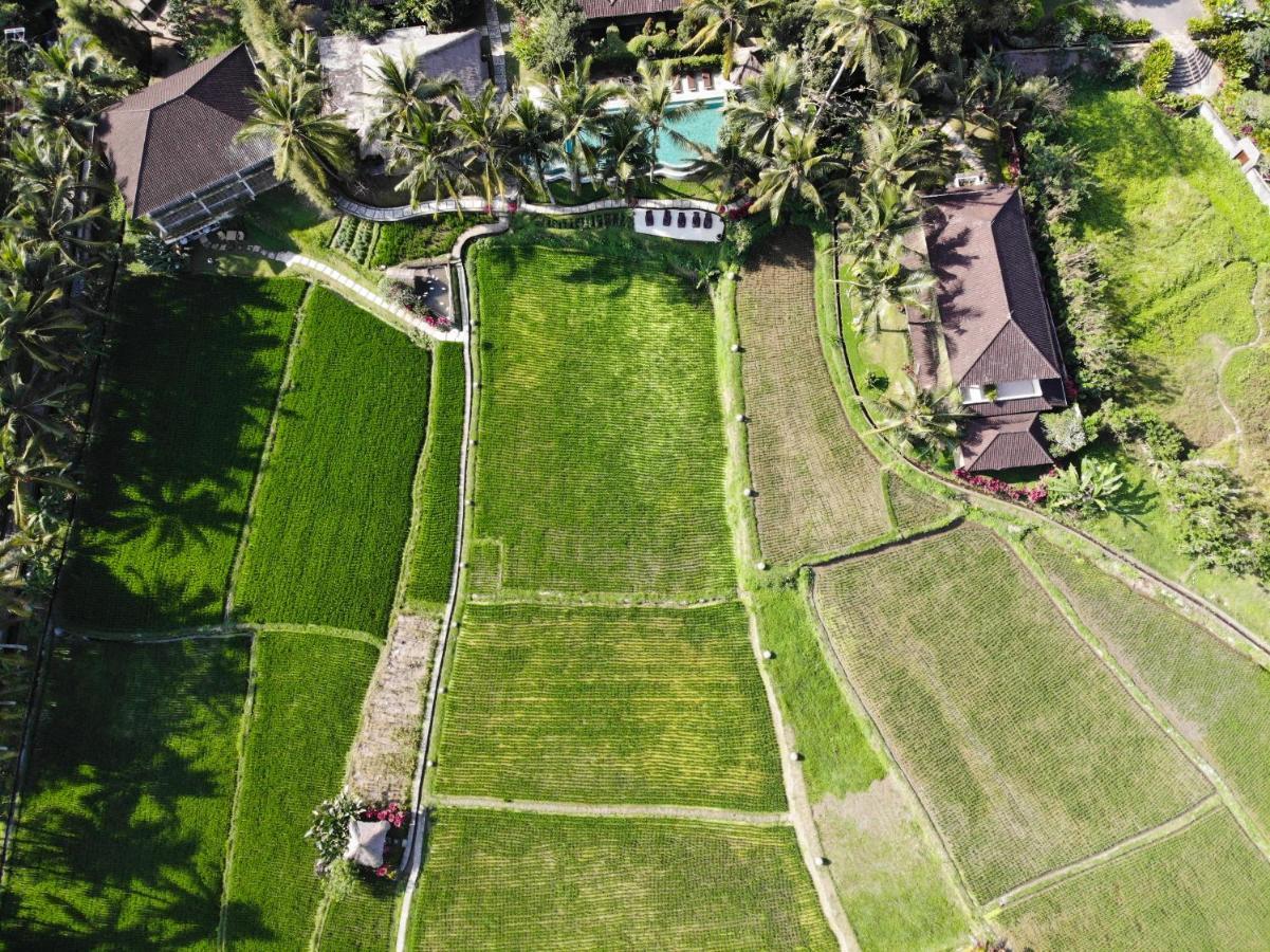 Mathis Retreat Hotel Ubud